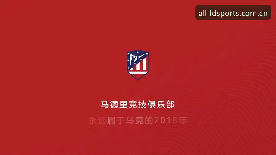 LDSports综合体育安装失败深度分析：从根源到解决的全方位解析